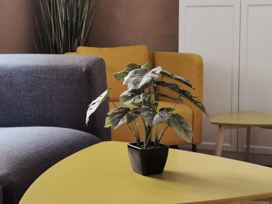 Ferienwohnung Im Bruehl Erfurt Buitenkant foto